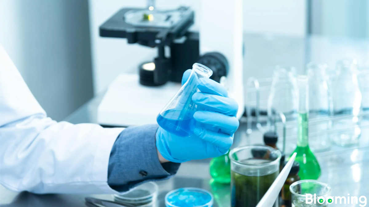 Q2 2025 Capacity Utilization in China's Chemical Raw Materials and Chemical Products Manufacturing Industry at 71.9%