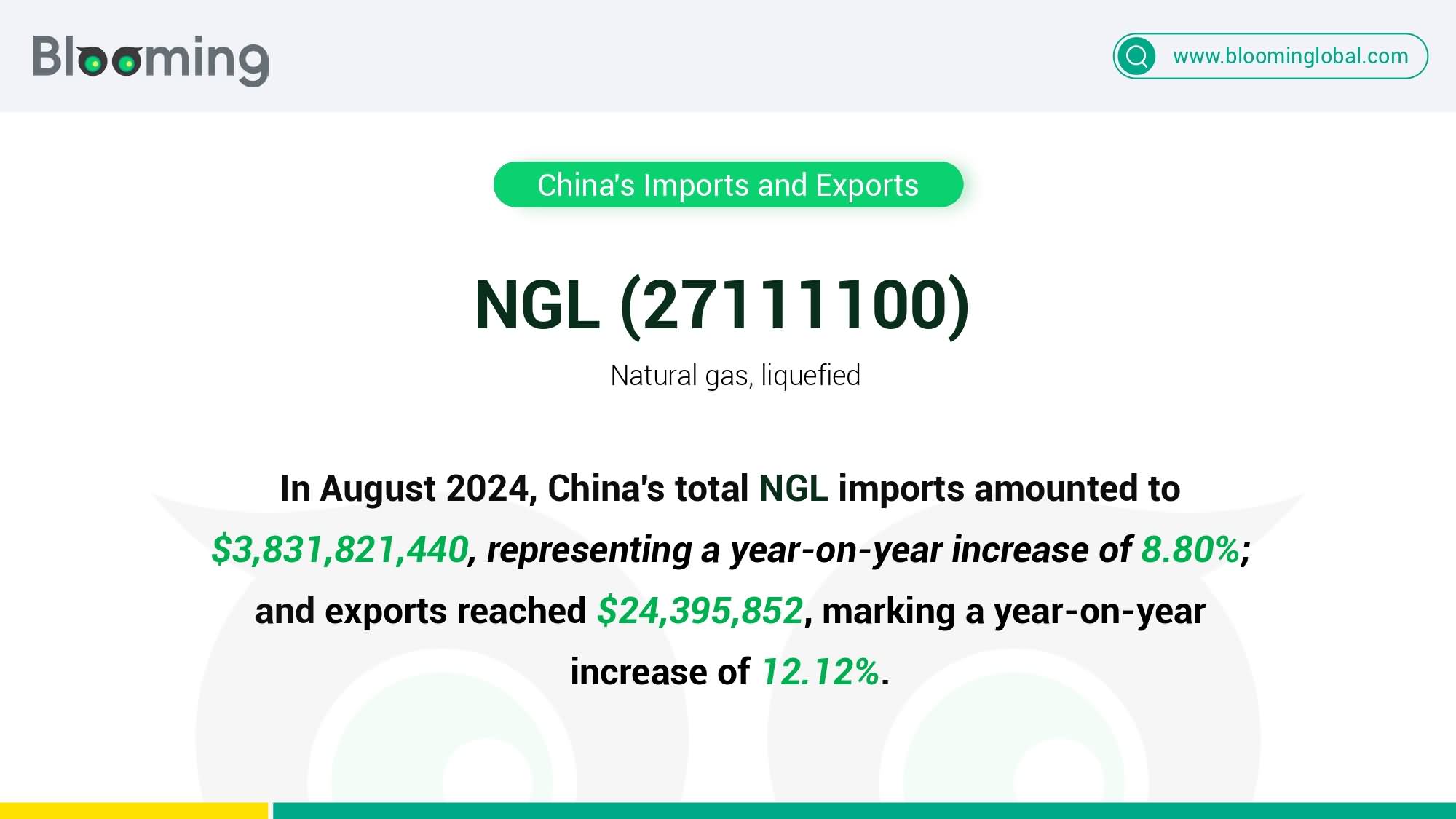 China’s NGL Imports & Exports: August 2024 Trade Overview