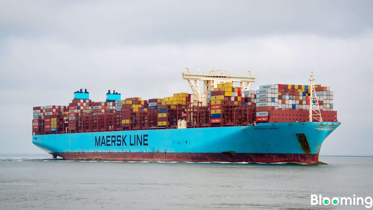 Maersk Expands Global Operations: New Developments in France, Denmark, and Beyond