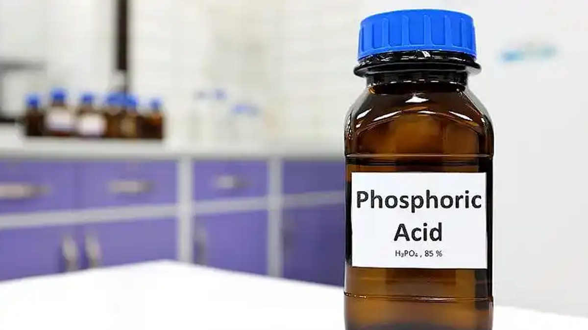 January 2025 Monthly Report on Phosphoric Acid and Downstream Industries in China