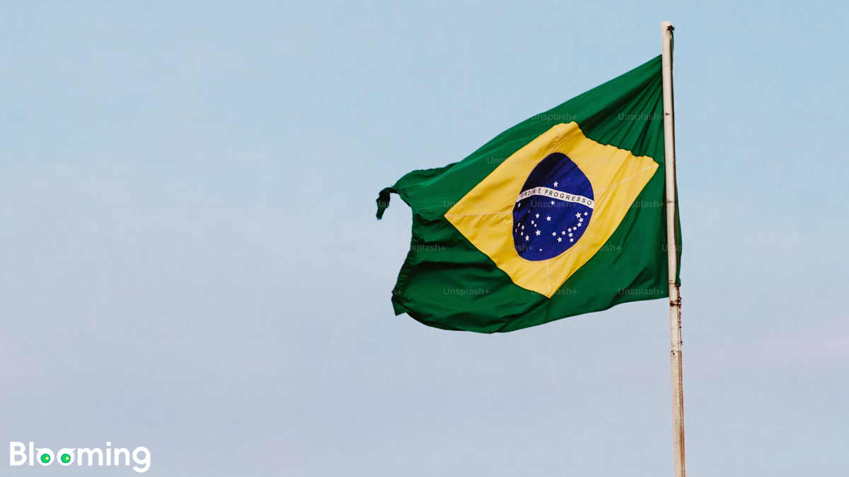 Brazils Economy Maintains Resilient Growth