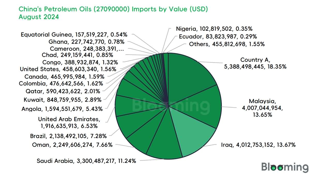 August 2024 China Petroleum Oils Imports and Exports Data 04